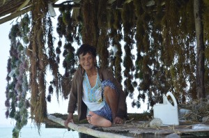 Lydia sits comfortably amidst her freshly-harvested seaweeds. She has tirelessly been farming for 20 years and will continue until she's saved enough for retirement. 